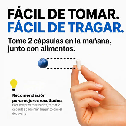 MAGNESIUM COMPLEX® - Suplemento 8 en 1 - 60 CAPS